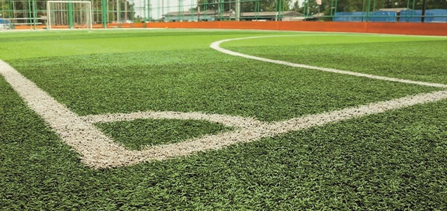 Vista img2 de Garcilaso 2026